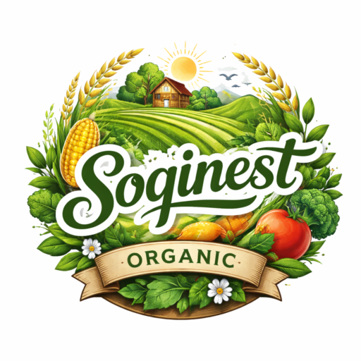 NÔNG SẢN ORGANIC – SOQINEST